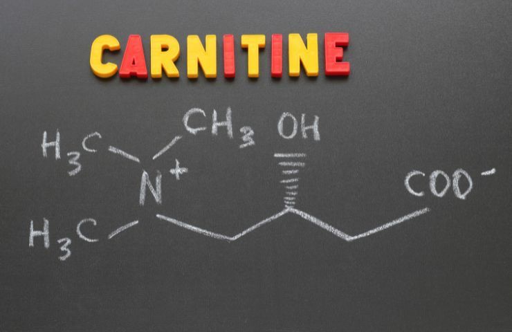 Carnitina