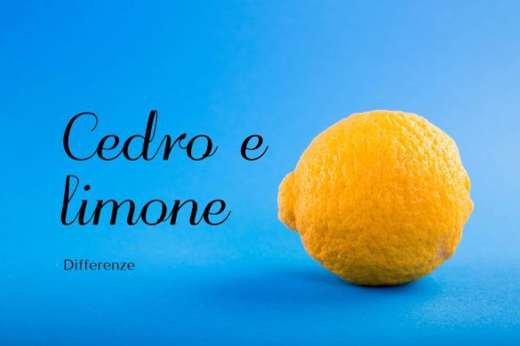 Cedro e limone differenze