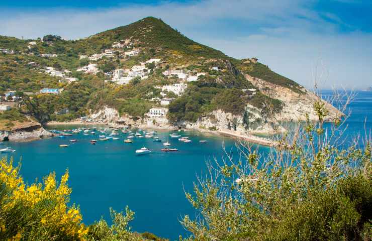 Cosa mangiare a Ponza