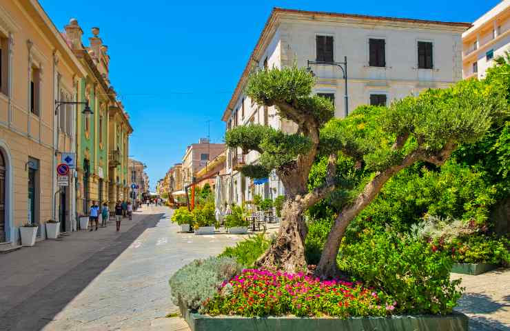 Cosa mangiare in vacanza a Olbia