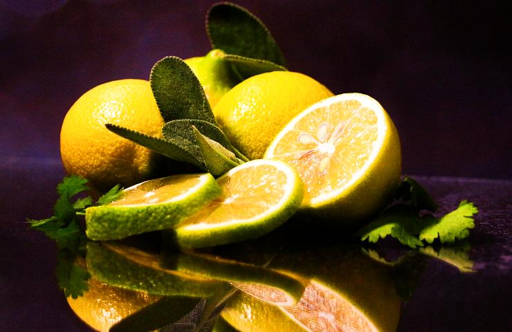 Limoni biologici