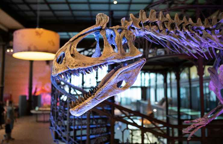 Mostra sui dinosauri