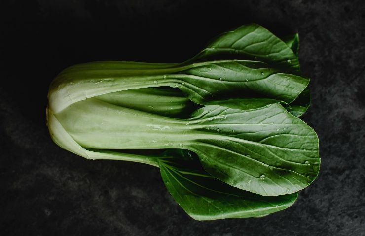 Pak Choi - Cavolo cinese