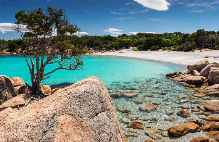 Piatti tipici di Olbia