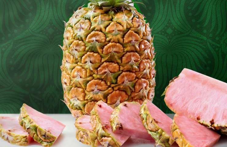 Pinkglow Pineapple