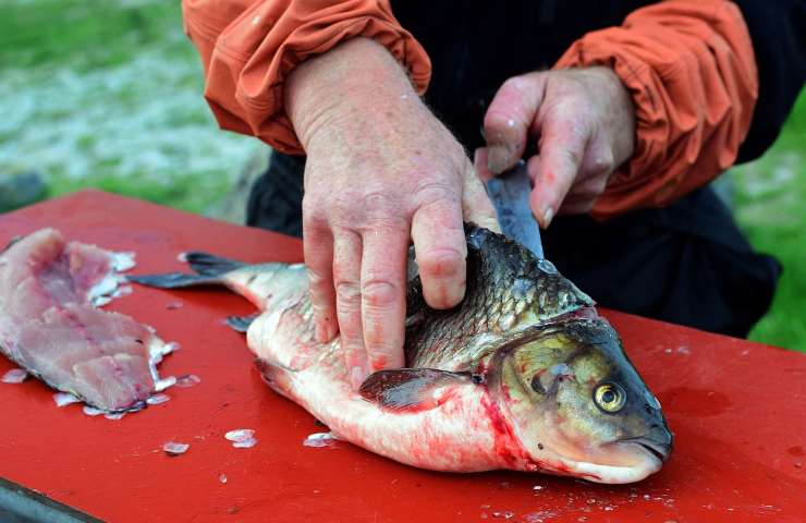 Pulizia del pesce