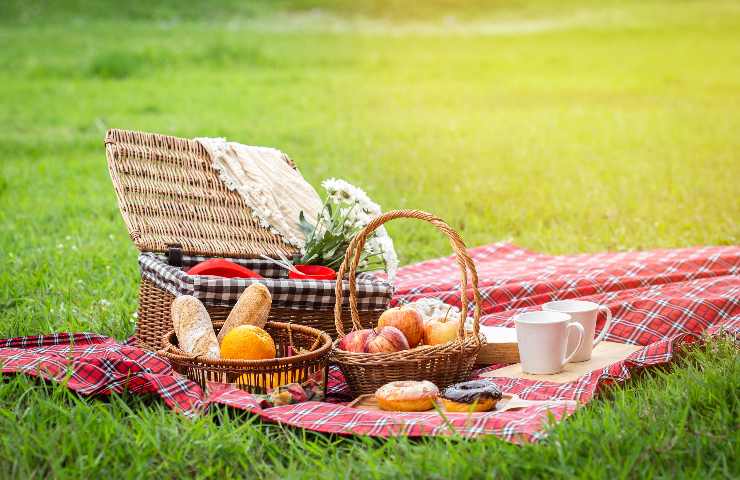 Regole per fare il picnic