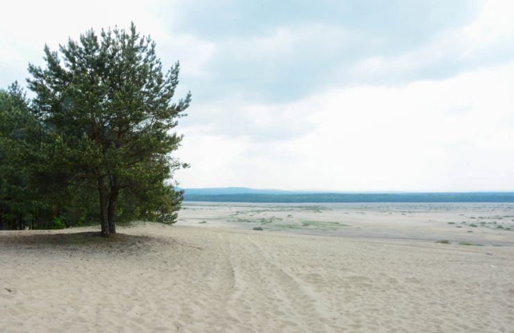 Błędów Desert