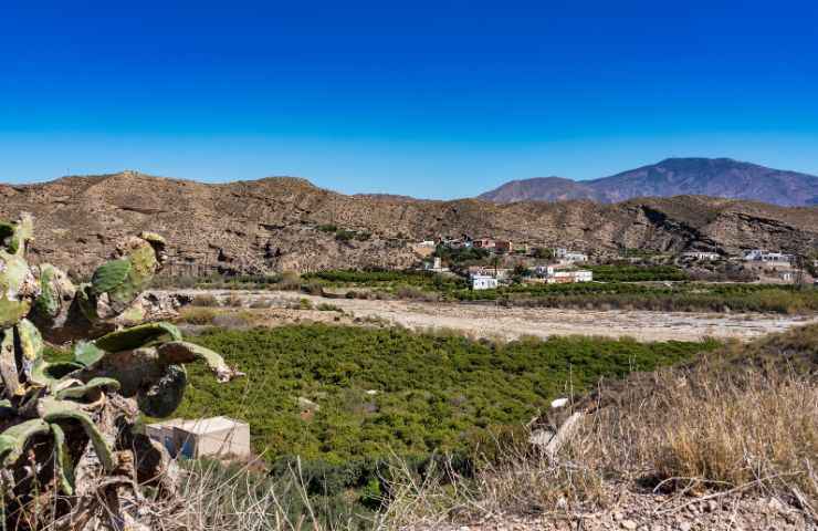 Desierto de Tabernas