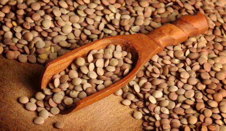 Frullare lenticchie e lievito per pane