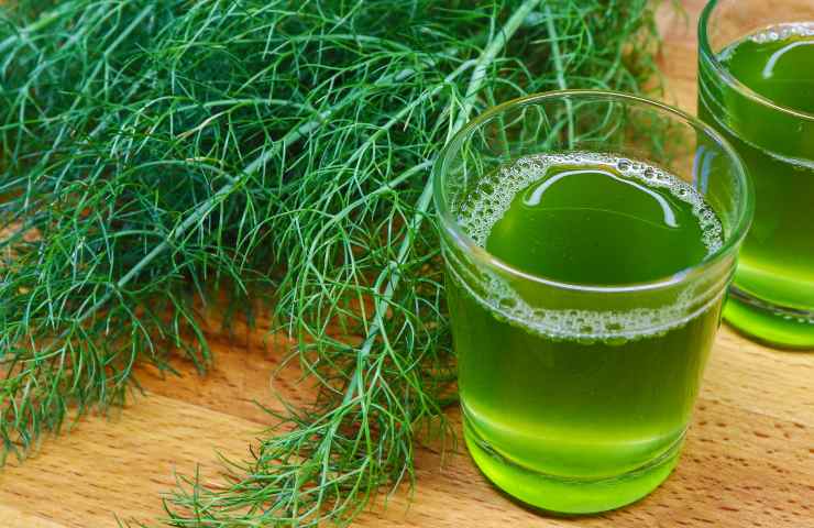 Ricetta liquore al finocchietto selvatico