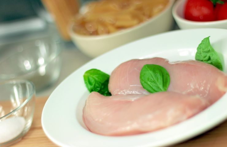 Petto di pollo