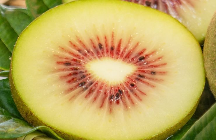 Polpa del kiwi rosso