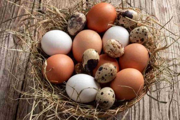 Uova da mangiare