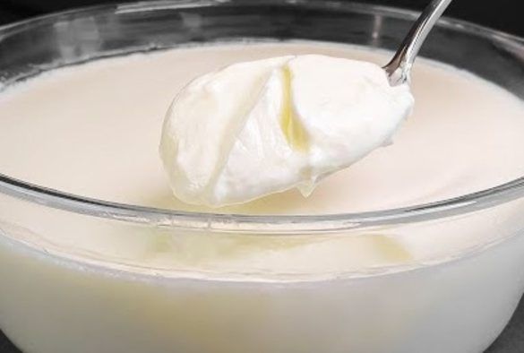 Yogurt fatto in casa