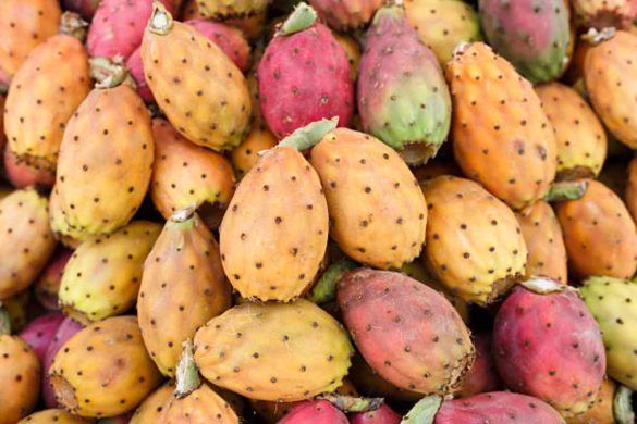 fichi d'india