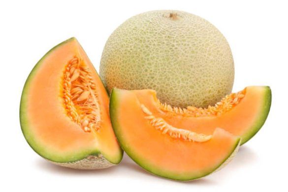 sagra del melone