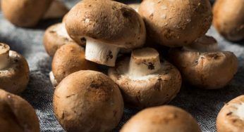 Funghi gratinati: il contorno delle cene autunnali
