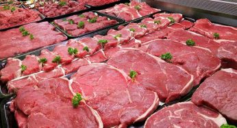 Carne e preparati MD, sei sicuro di voler sapere la provenienza? Potresti rimanere senza parole